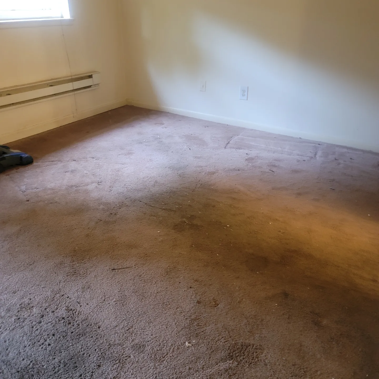 A brown color carpet in an empty room